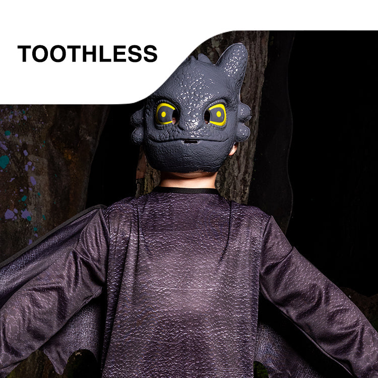 Character: Toothless – NL Rubies Masquerade (B2B)
