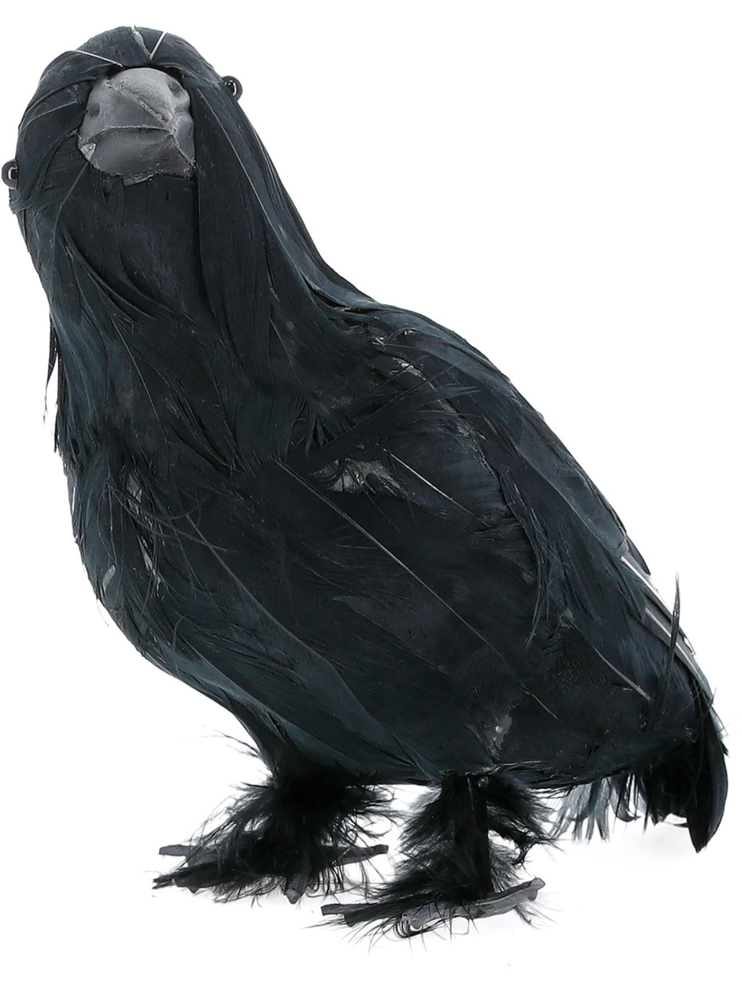 Crow, Black