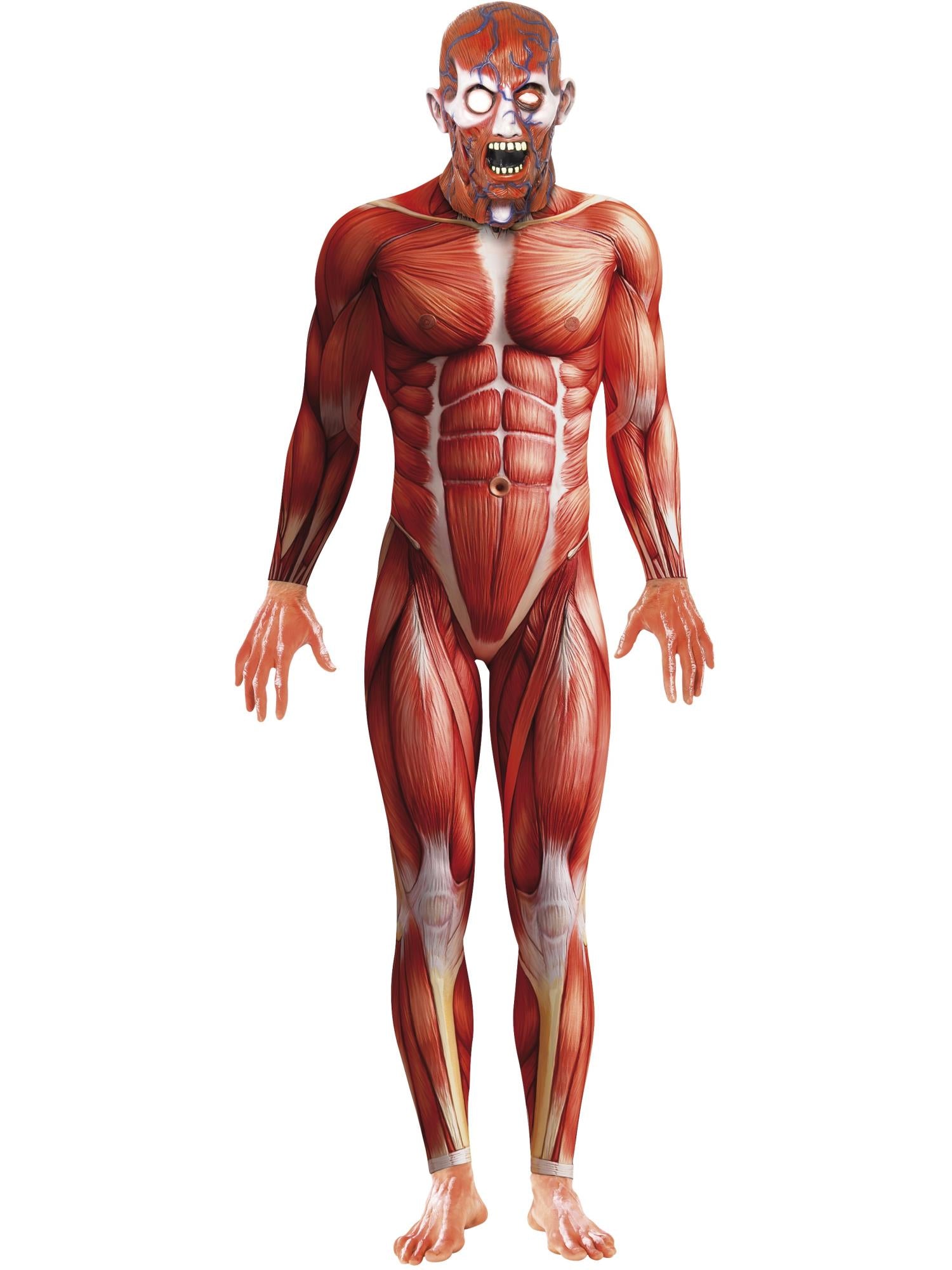 Anatomie-Mann-Kostüm, rot