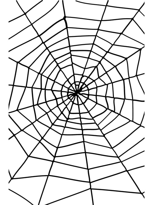 Spider & Spiders Web, Black