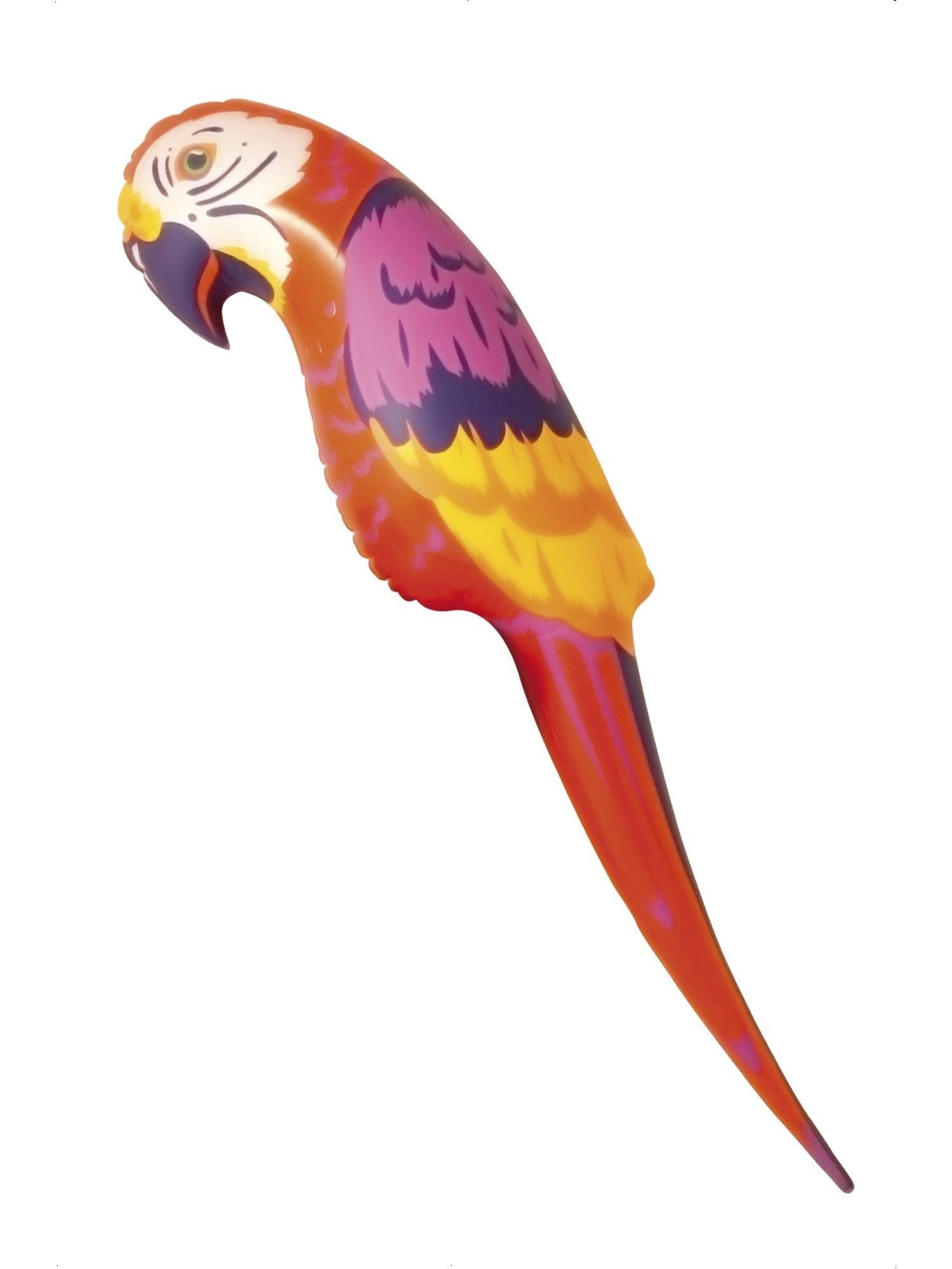 Parrot, Red, Orange & Yellow