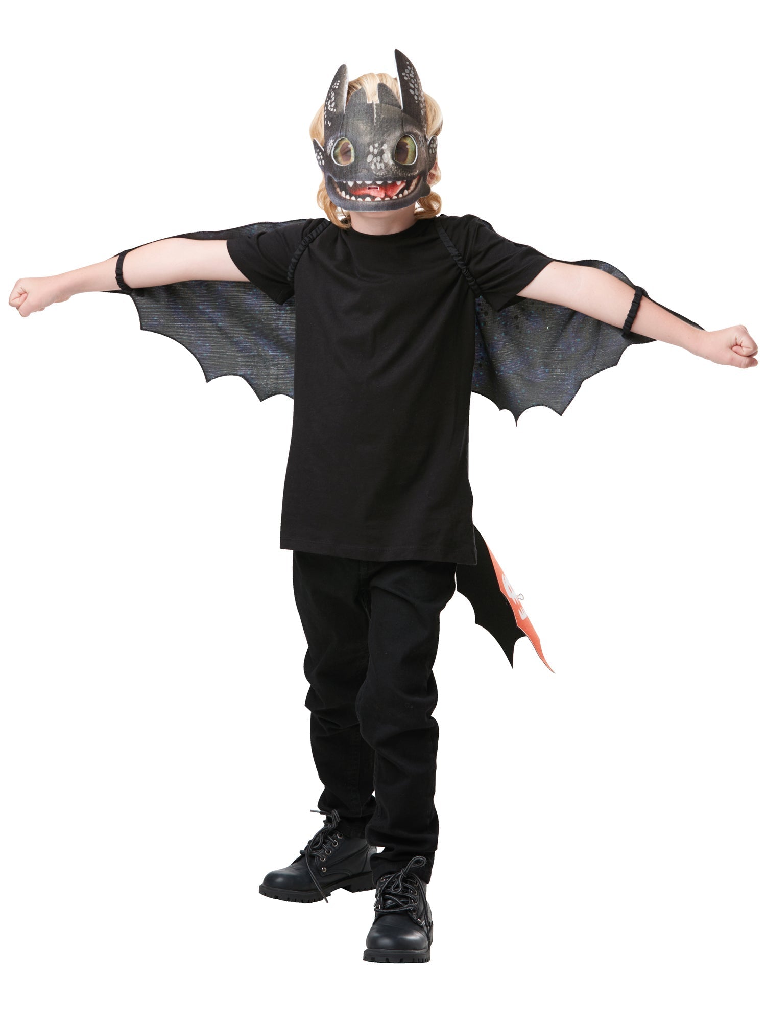 Toothless accessoireset