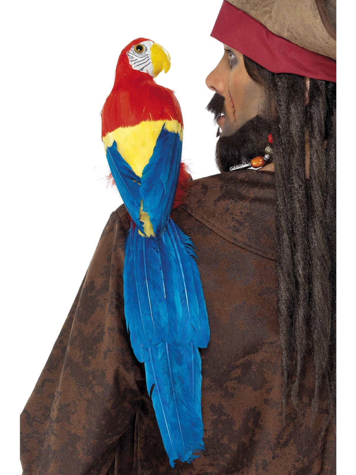 Parrot 50cm / 20in, Multi-Coloured