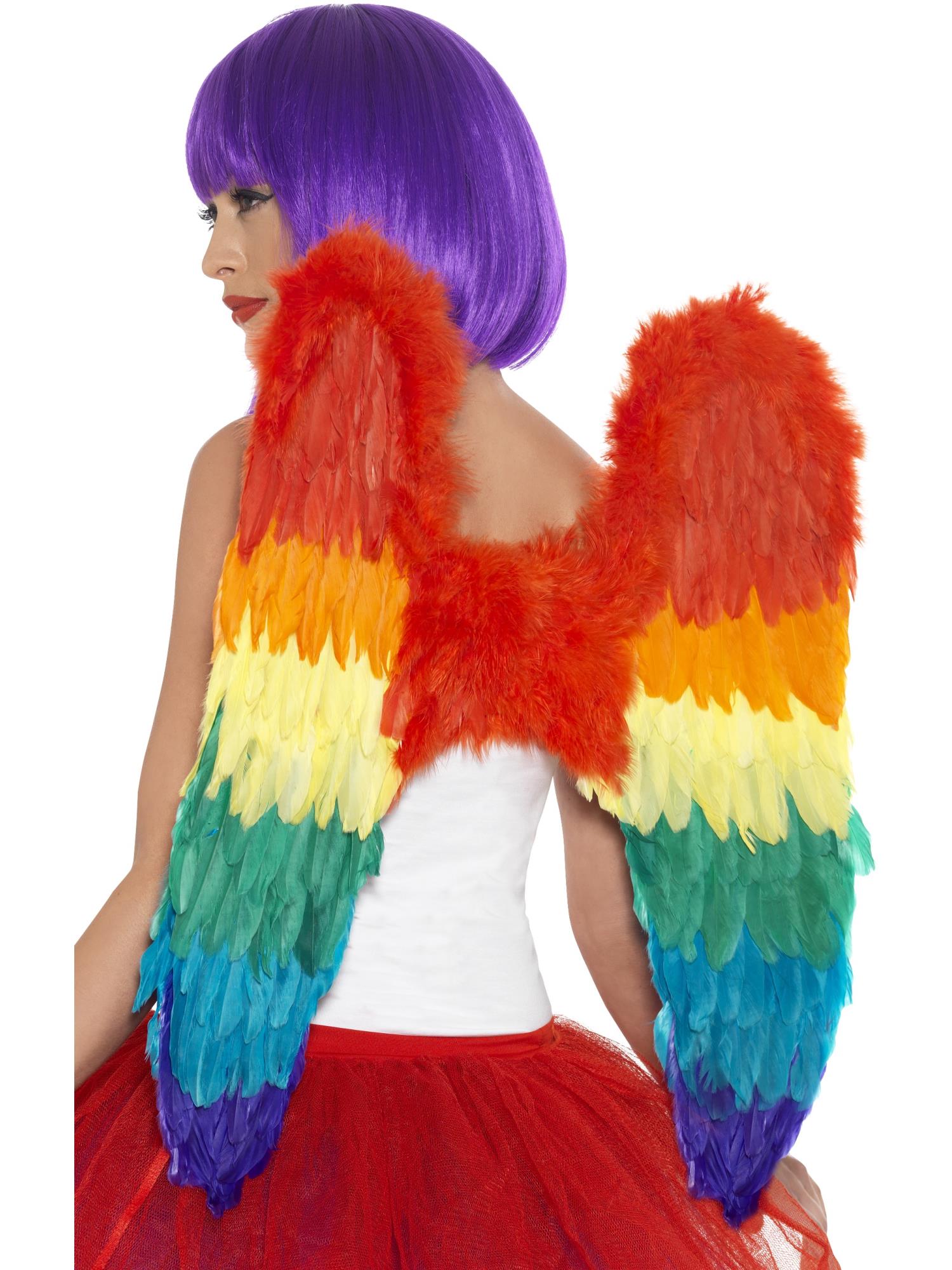 Federflügel, Regenbogen