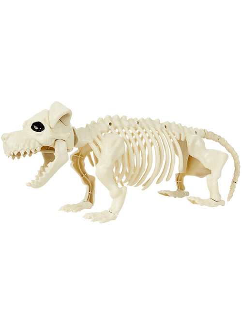 Dog Skeleton Prop, Natural
