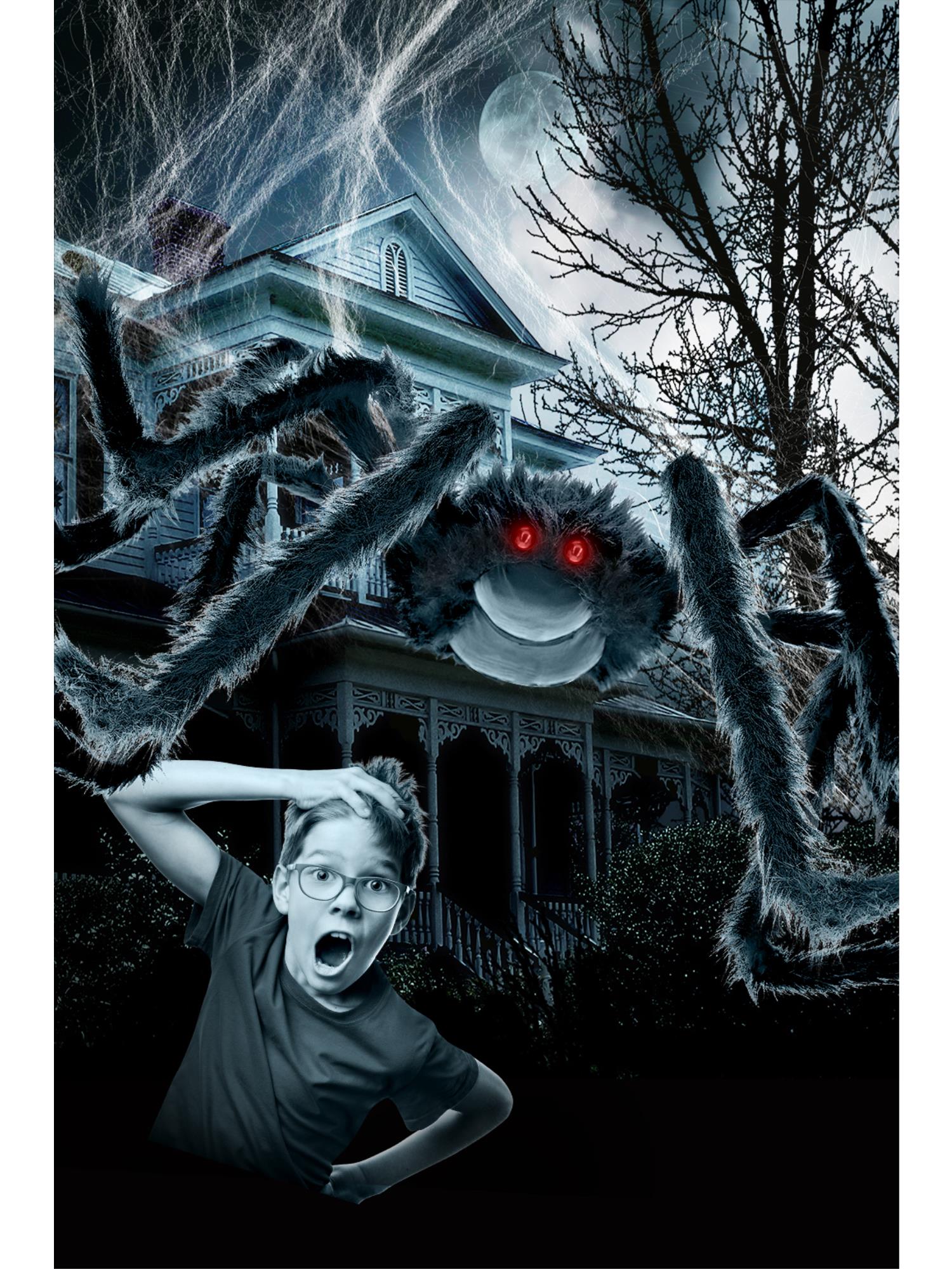 Outdoor Giant Spider & 1.2m Web