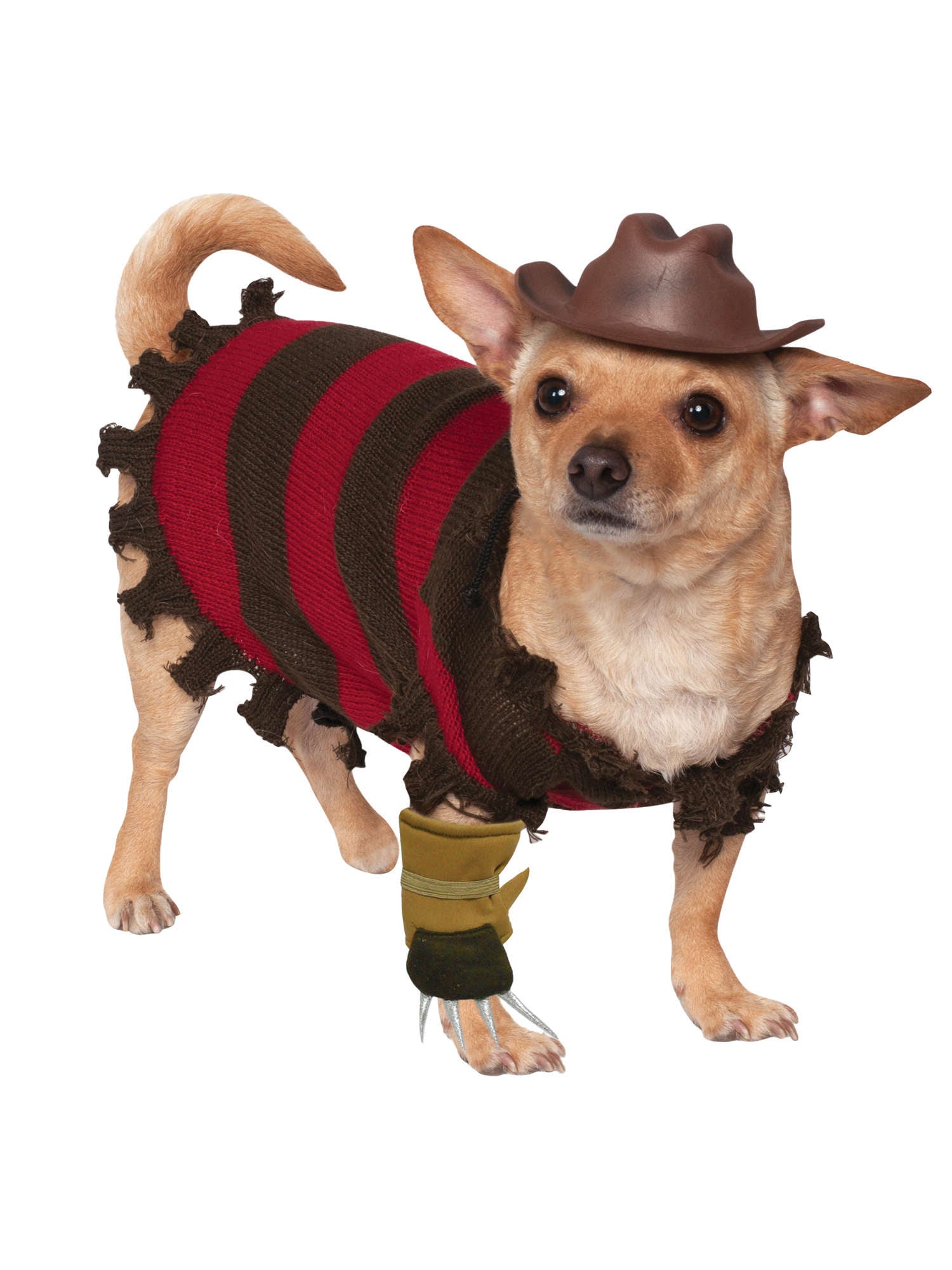 Freddy Krueger Pet Costume
