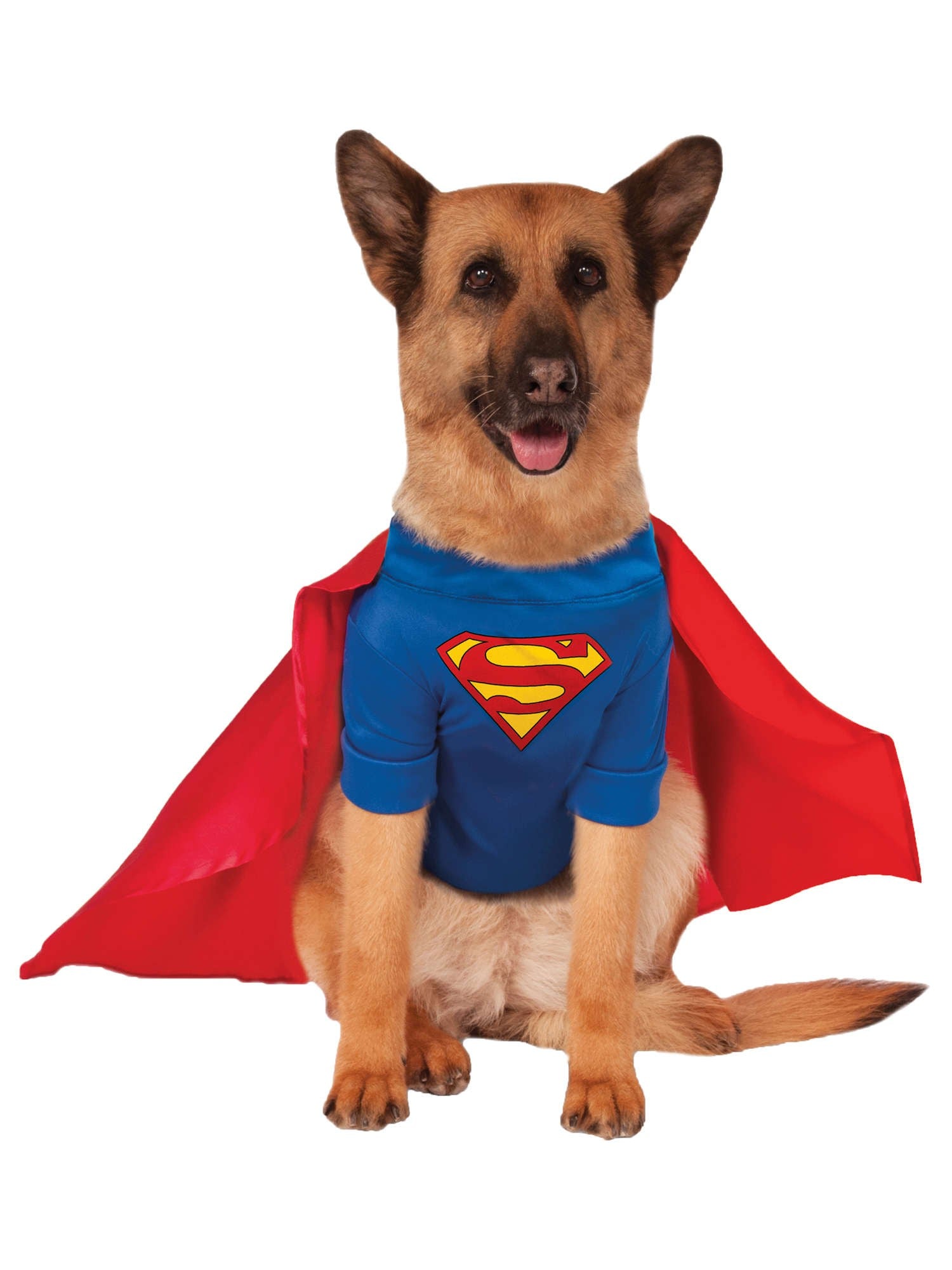 Superman Haustier Kostüm