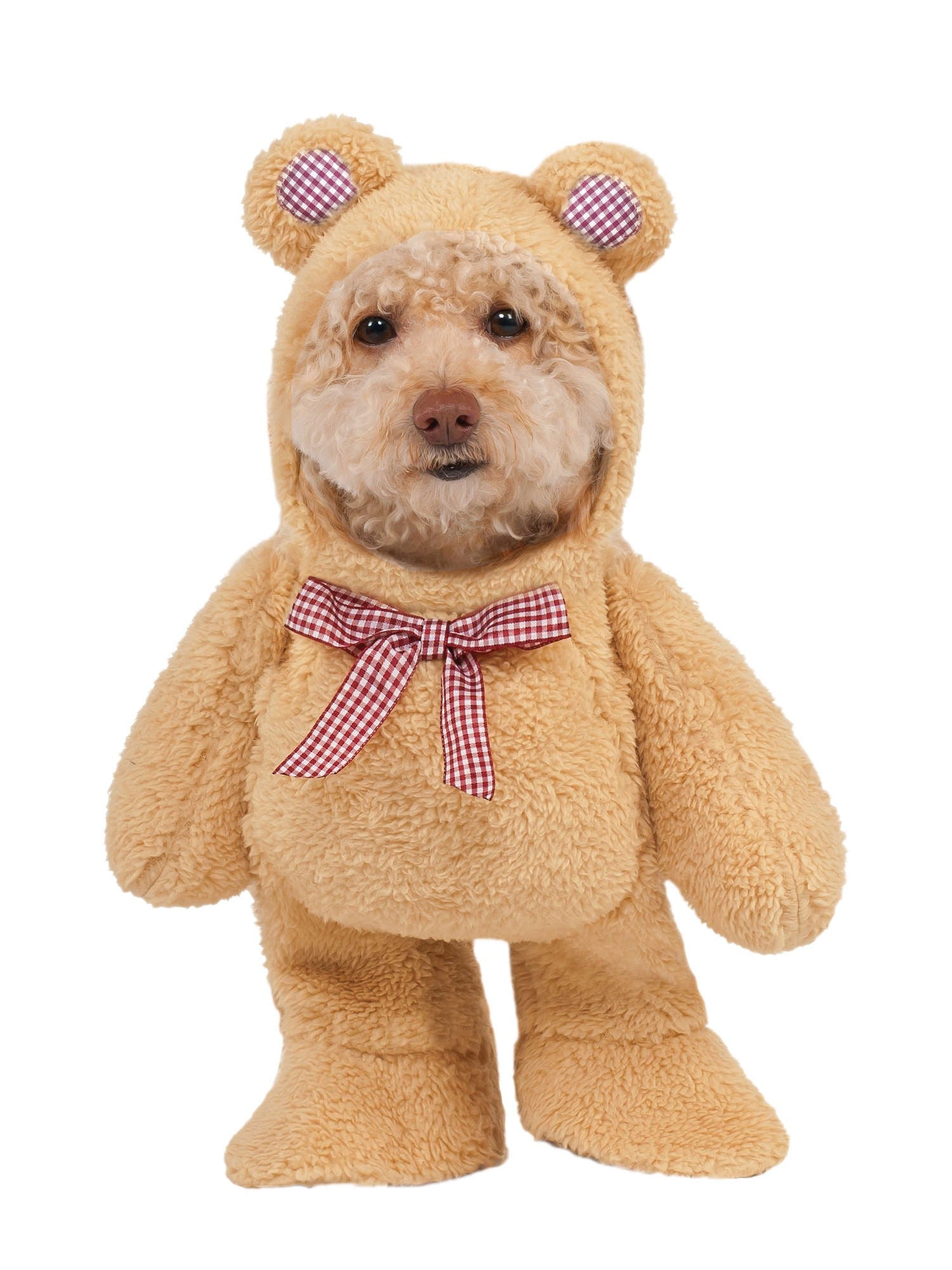 Spazierender Teddybär Haustier Kostüm