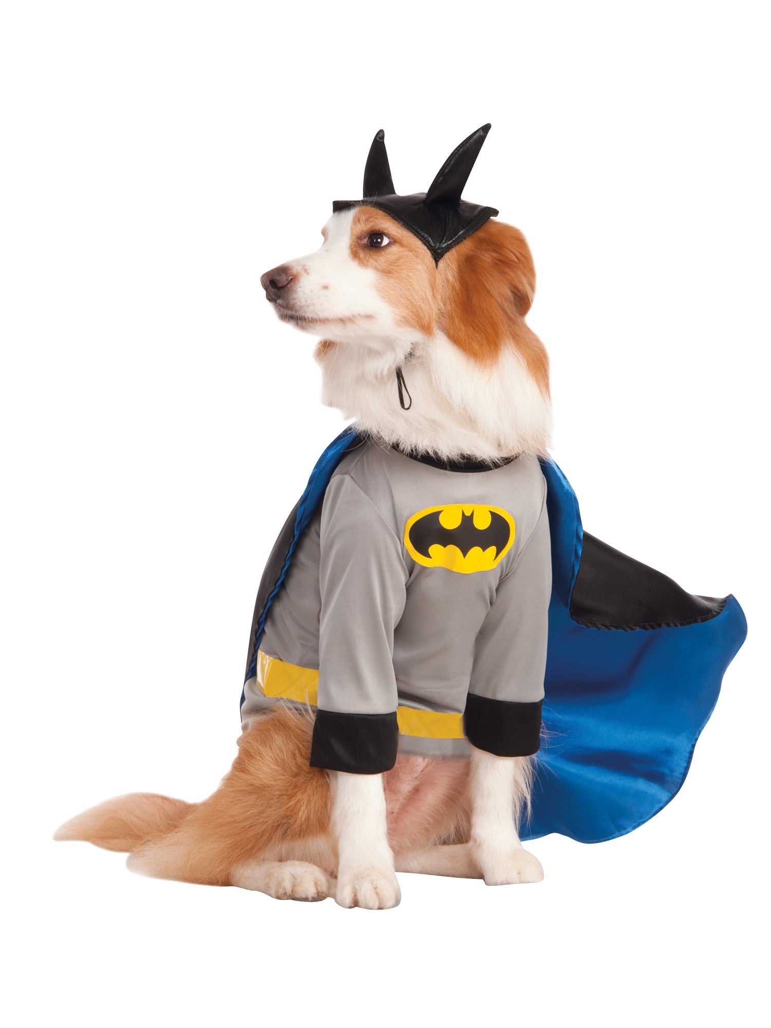 Batman Haustier Kostüm