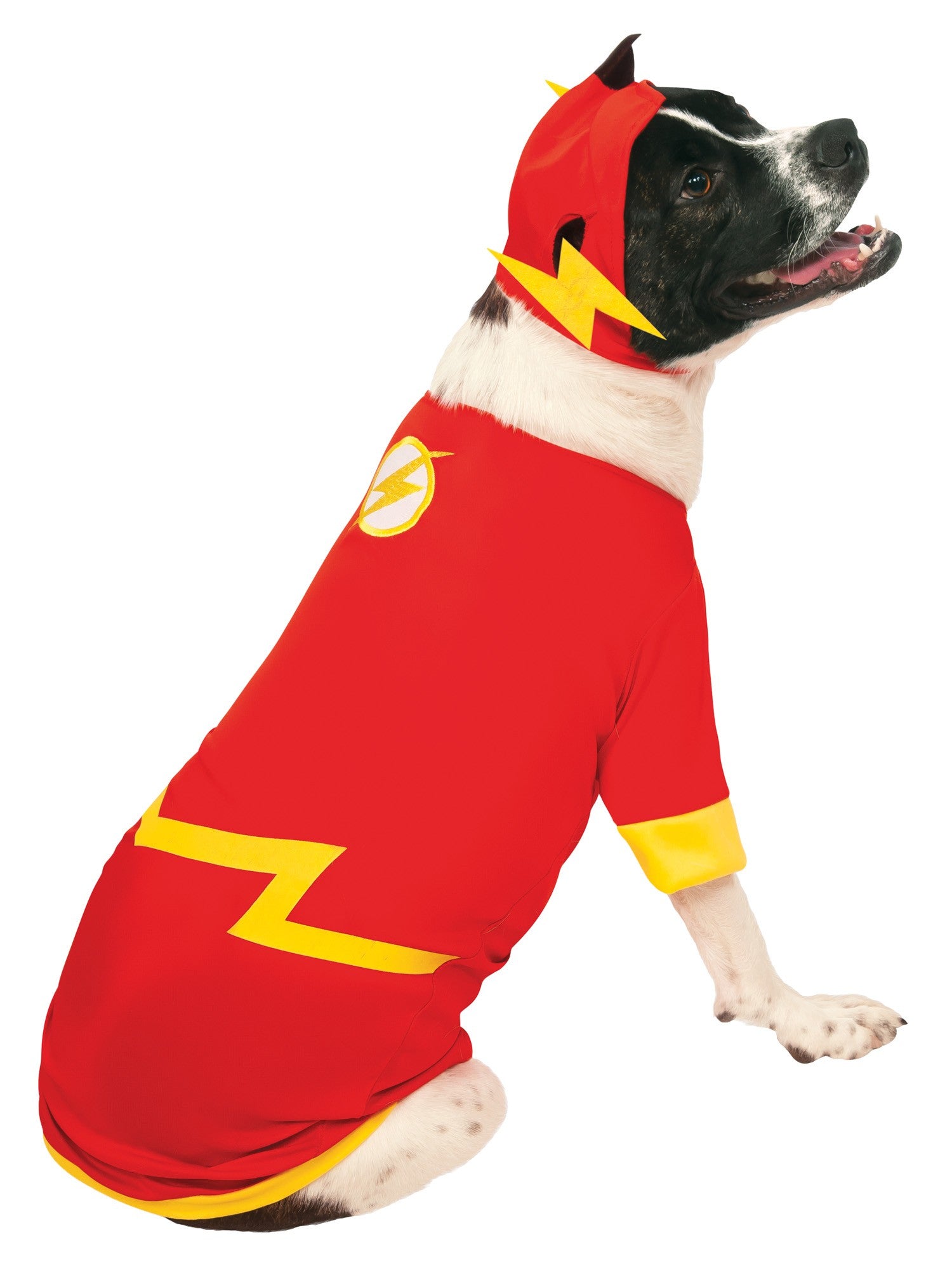 Flash Huisdier Kostuum