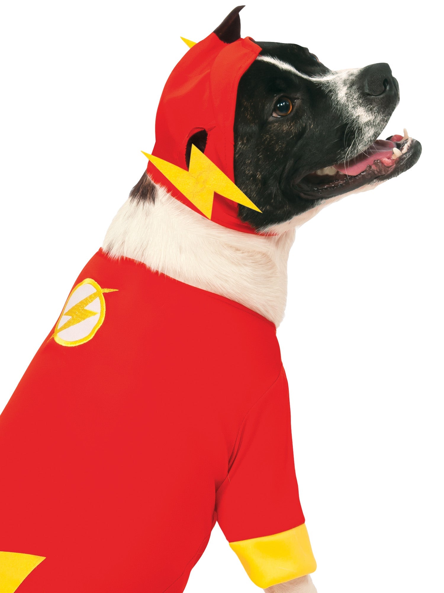 Flash Pet Costume