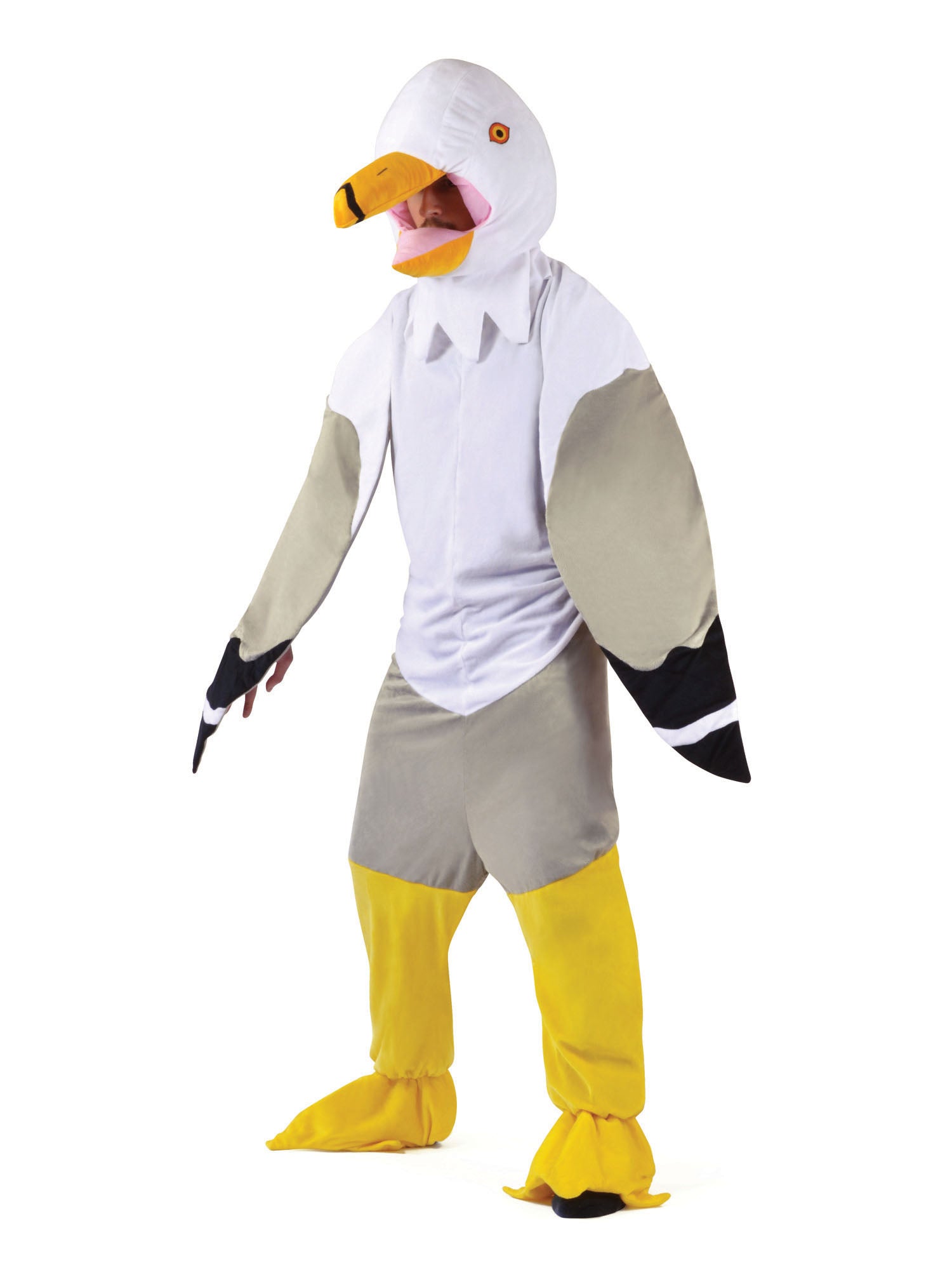 Big Head Seagull