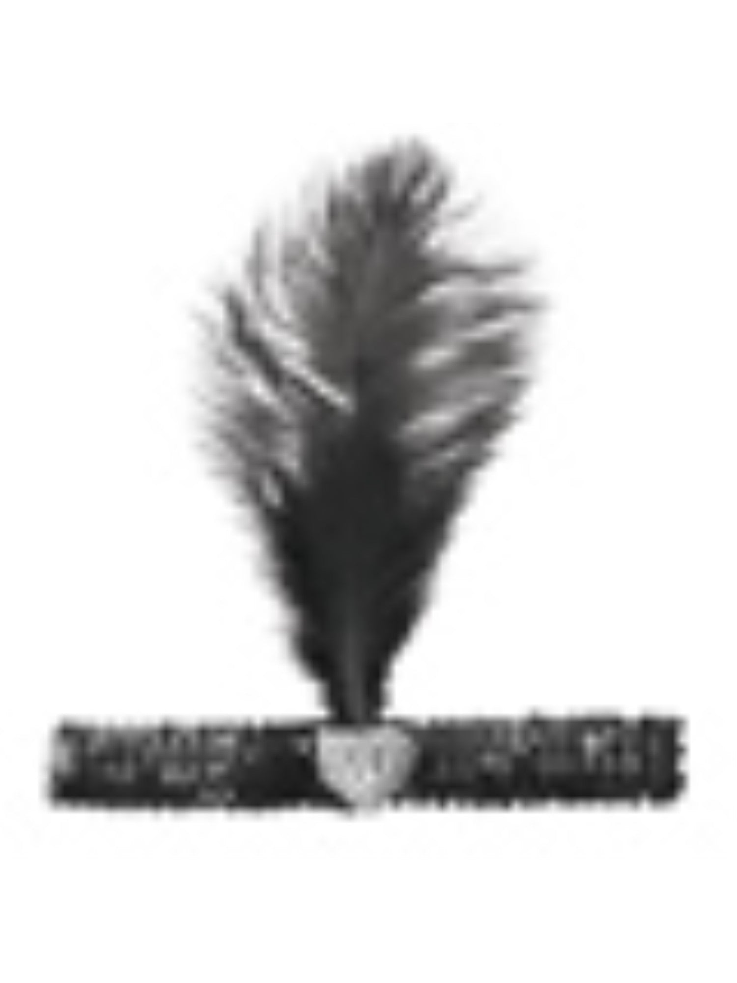 Schwarzes Flapper Stirnband Kristall Herz