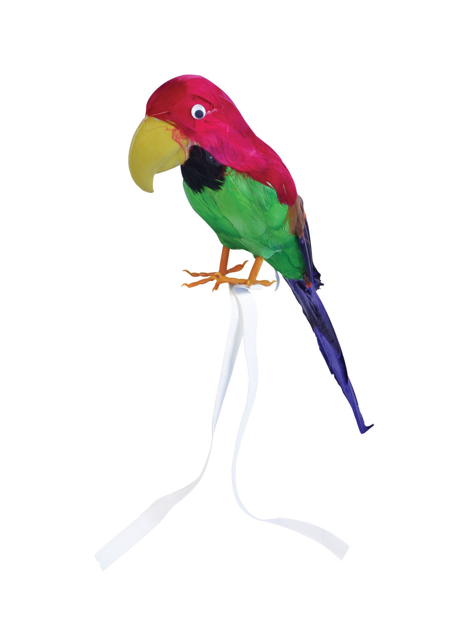 Feather Covered Parrot