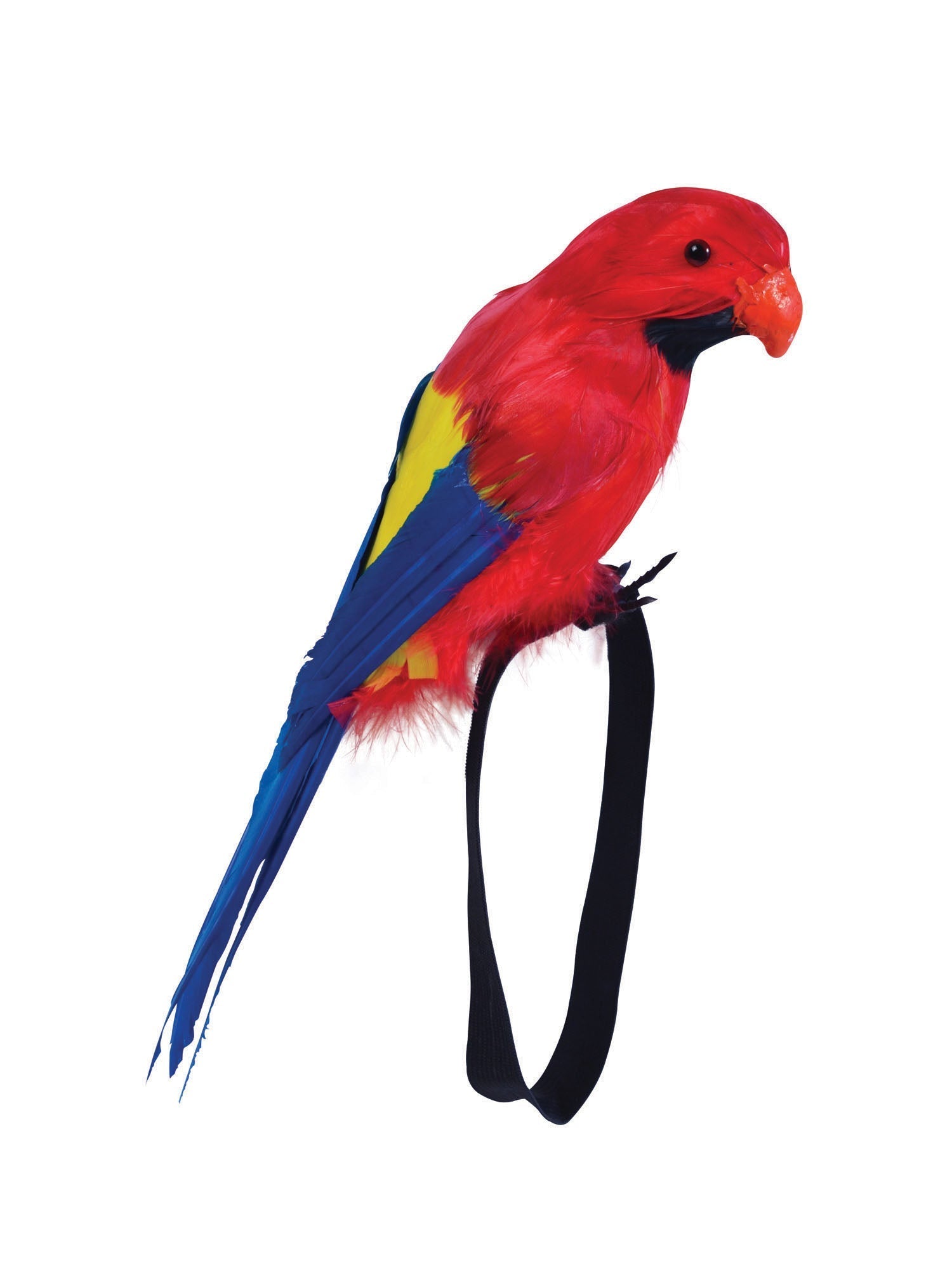 Parrot - Feather With Wrist Stap