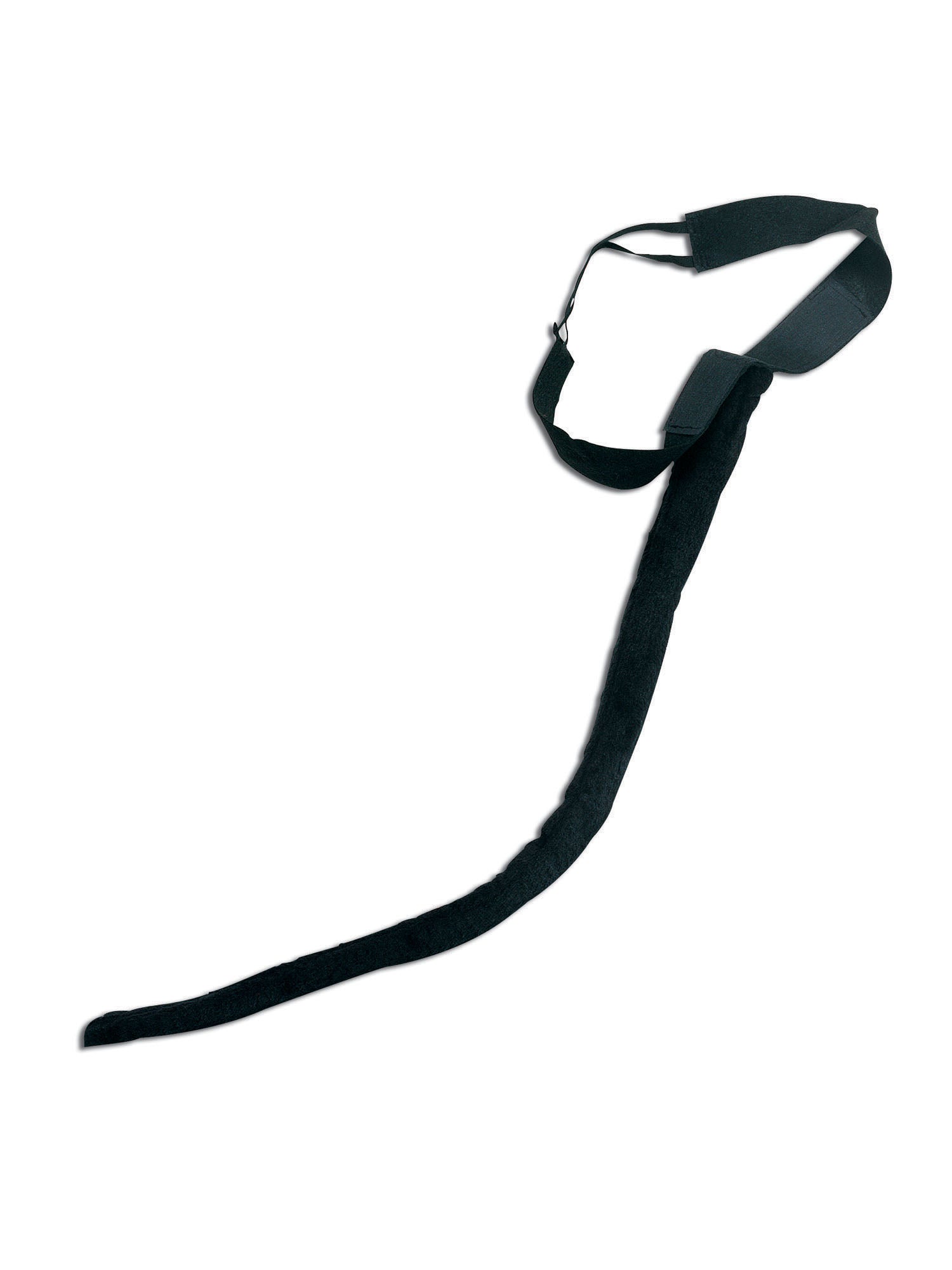 Kattenstaart en riem