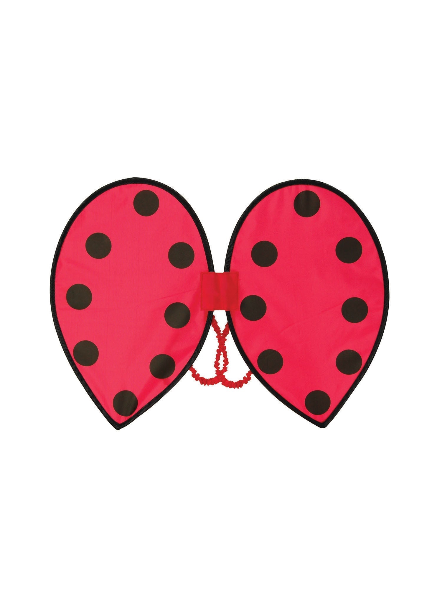Ladybird Wings