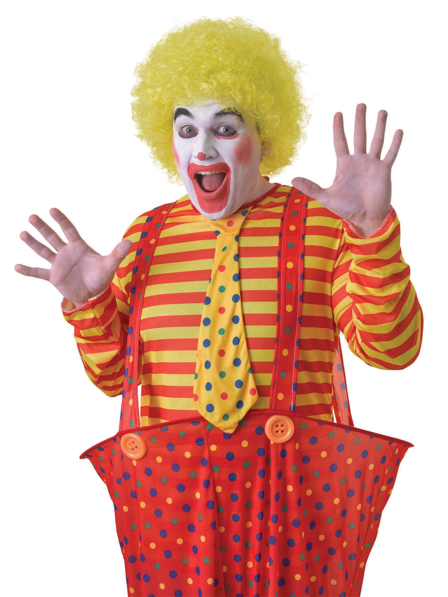 Clown Wig