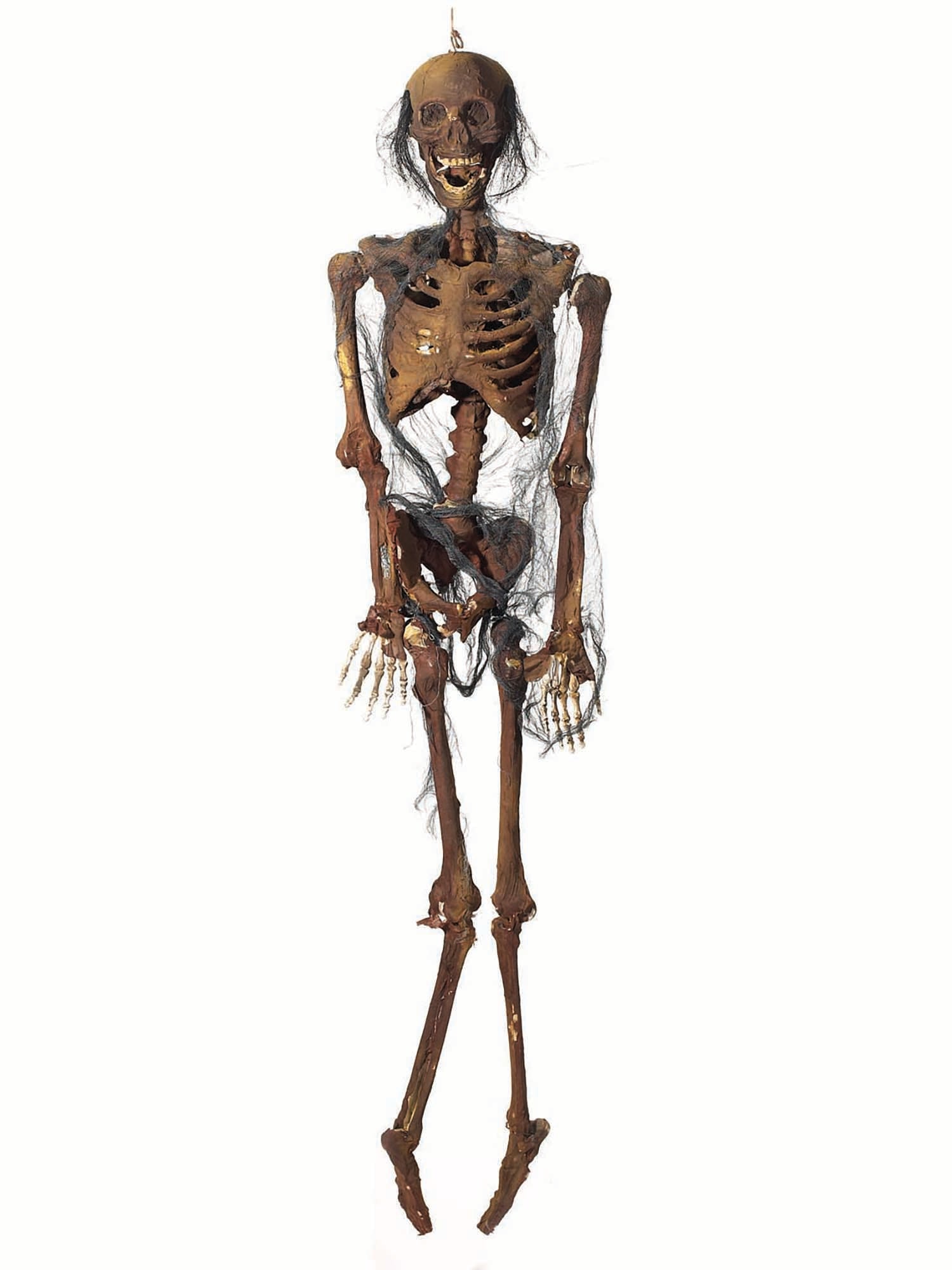 Hanging Zombie