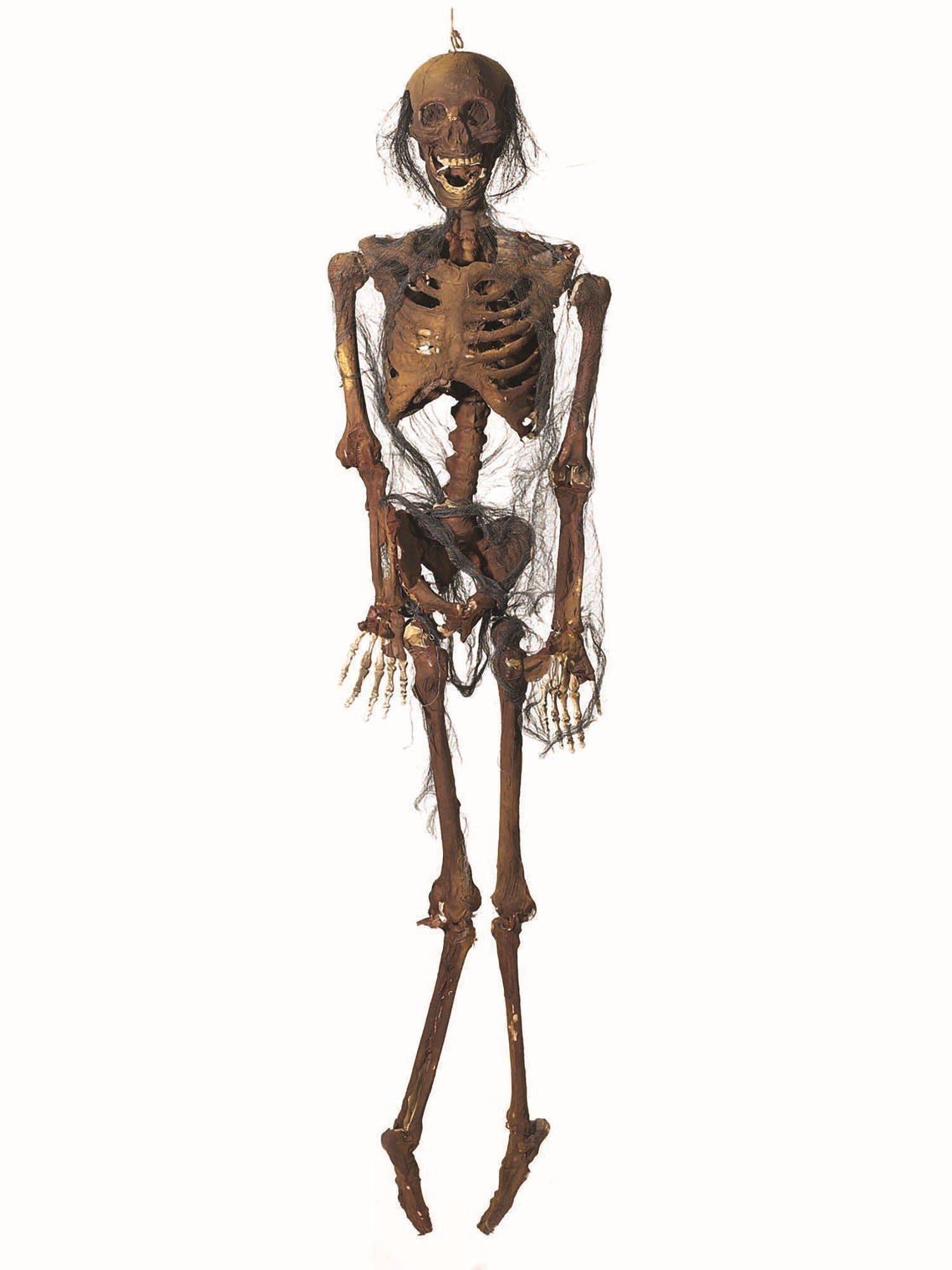Hanging Zombie