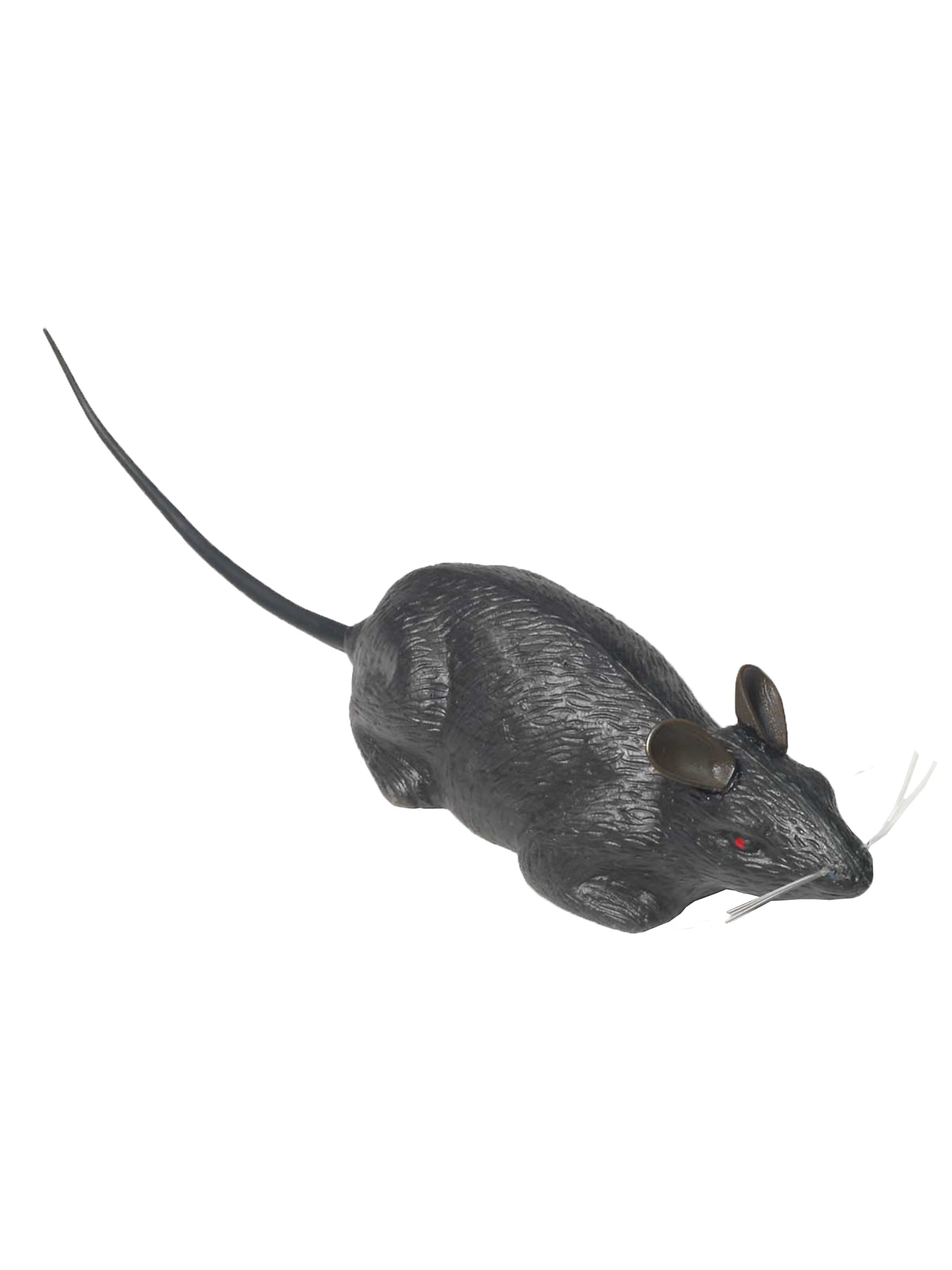 Rat Set