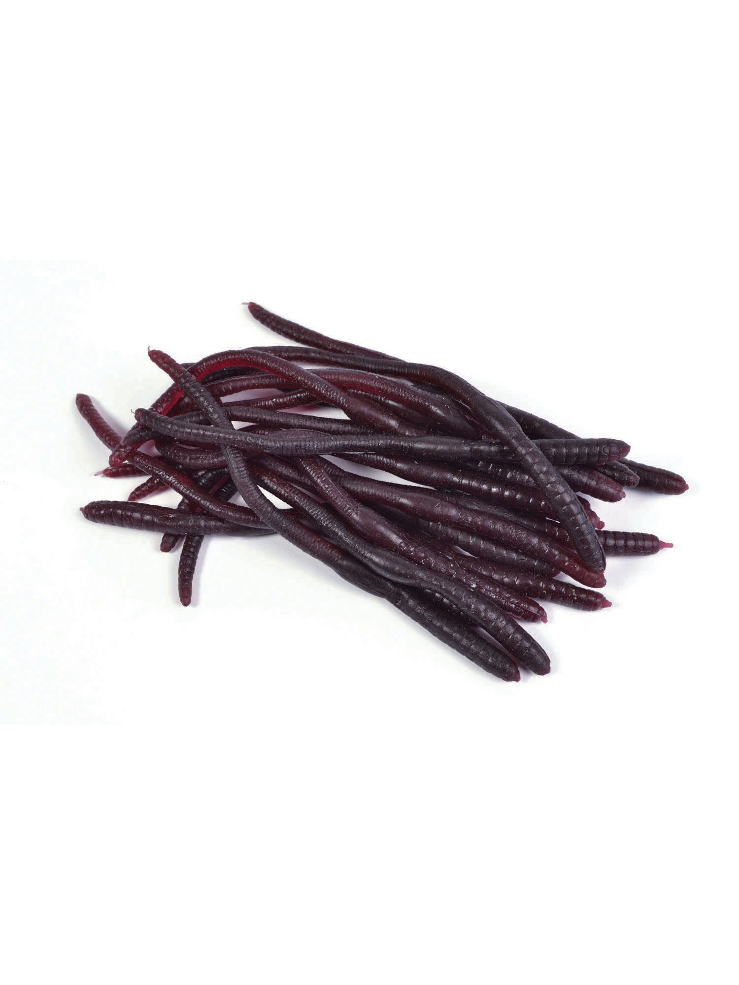 Regenwormen (20Pcs)